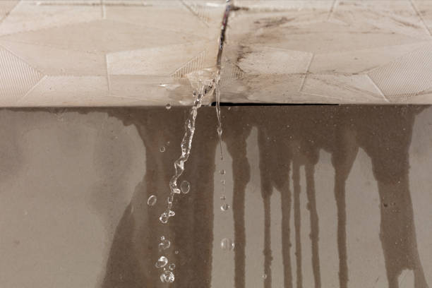 Professional Water Damage Repair technician working in Olga, FL